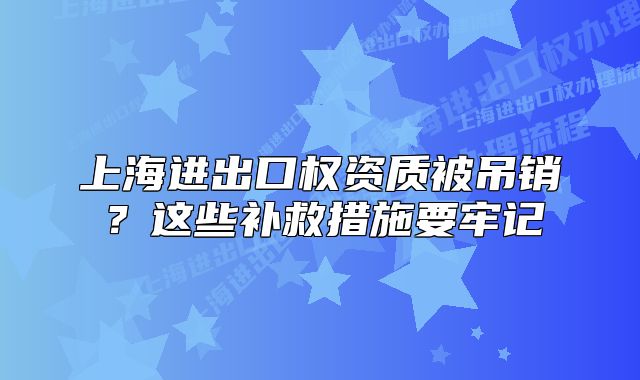 上海進(jìn)出口權(quán)資質(zhì)被吊銷？這些補(bǔ)救措施要牢記