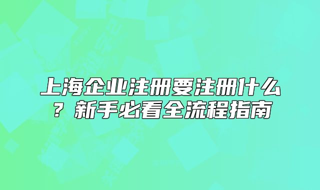 上海企業(yè)注冊要注冊什么？新手必看全流程指南