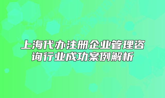 上海代辦注冊(cè)企業(yè)管理咨詢行業(yè)成功案例解析