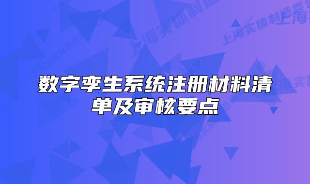 數(shù)字孿生系統(tǒng)注冊材料清單及審核要點