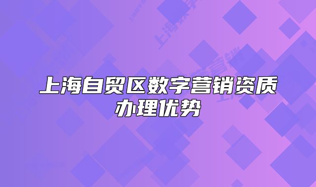 上海自貿(mào)區(qū)數(shù)字營(yíng)銷(xiāo)資質(zhì)辦理優(yōu)勢(shì)