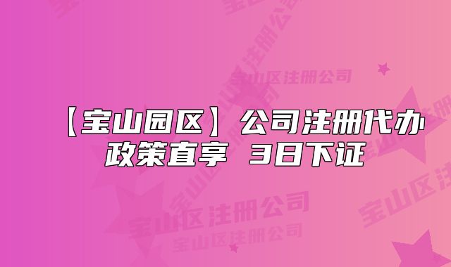 【寶山園區(qū)】公司注冊代辦 政策直享 3日下證