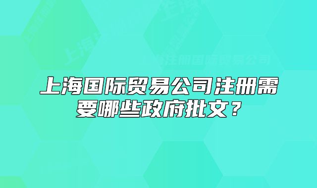 上海國(guó)際貿(mào)易公司注冊(cè)需要哪些政府批文？