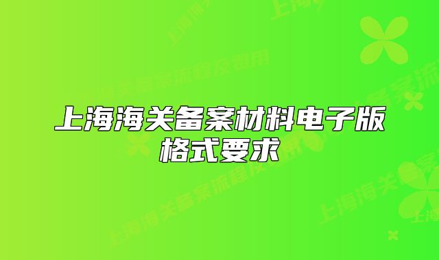 上海海關備案材料電子版格式要求