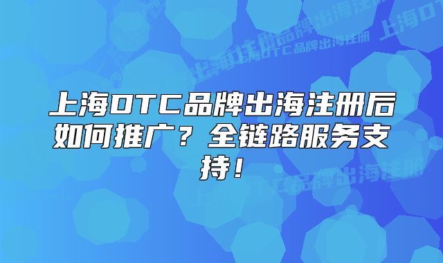 上海DTC品牌出海注冊后如何推廣？全鏈路服務(wù)支持！