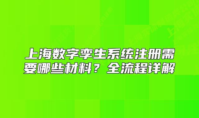 上海數(shù)字孿生系統(tǒng)注冊需要哪些材料？全流程詳解