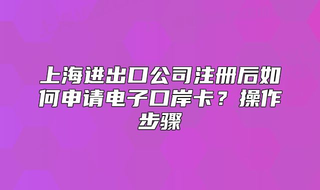 上海進(jìn)出口公司注冊(cè)后如何申請(qǐng)電子口岸卡？操作步驟